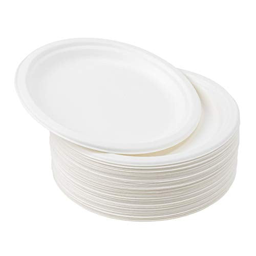 Platos Plásticos para Postre 6" - 1 x 10 UND